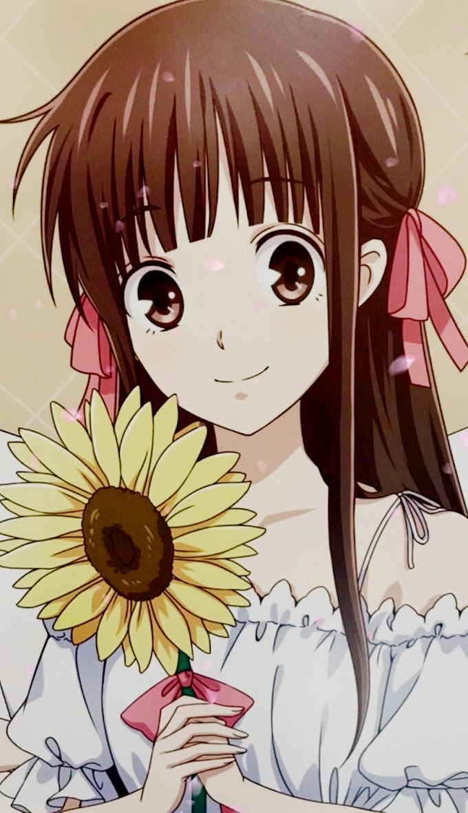 Fruits Basket-Tohru Honda