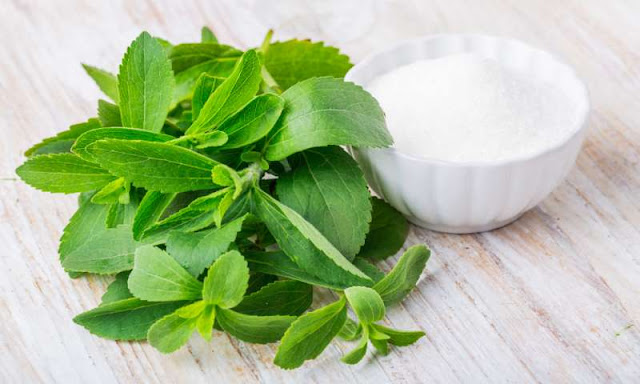 stevia sugar substitute