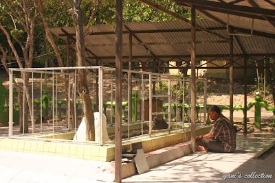 Makam Sunan Nyamplungan 