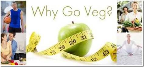 why go veg