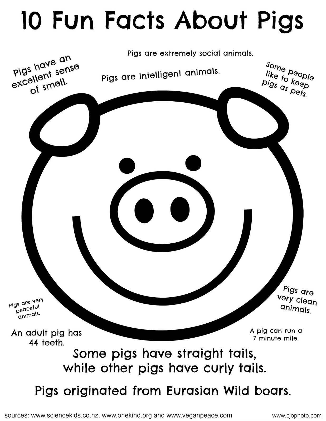 Download CJO Photo: Fun Facts Coloring Page: Pigs