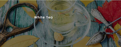 Everything-You-Need-to-Know-About-White-Tea-&-Its-Health-Benefits