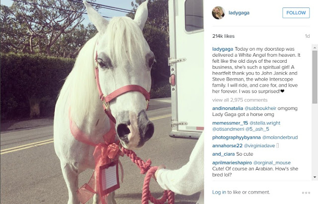 A surprising beautiful pony was gifted to Lady Gaga for cristmas from her record label