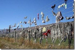 bra fence 2