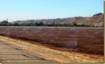 IMG_3202