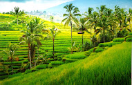 48+ Top Inspirasi Wallpaper Dinding 3d Pemandangan
