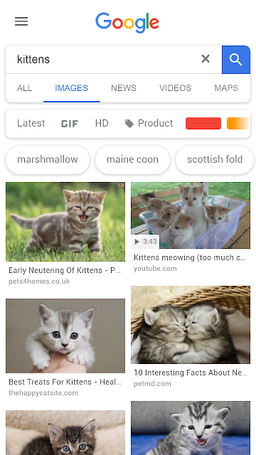 Google image search- kittens.
