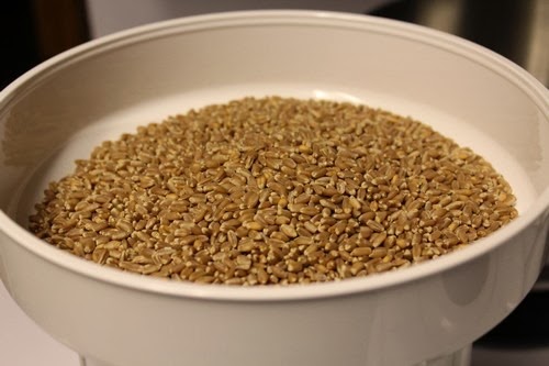 wondermill-electric-grain-mill_110