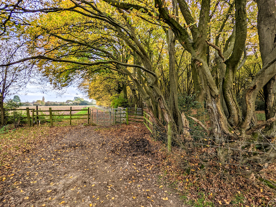 Head E with Lamer Wood on the right and field on the left