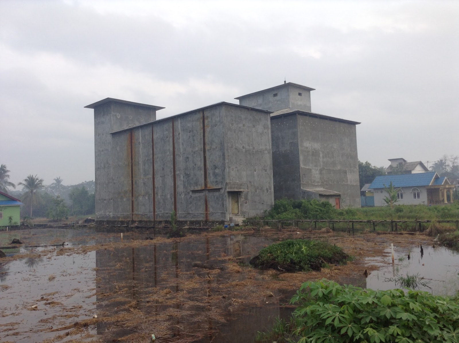 Kumpulan Gambar Rumah Walet  Burung Walet Kalimantan