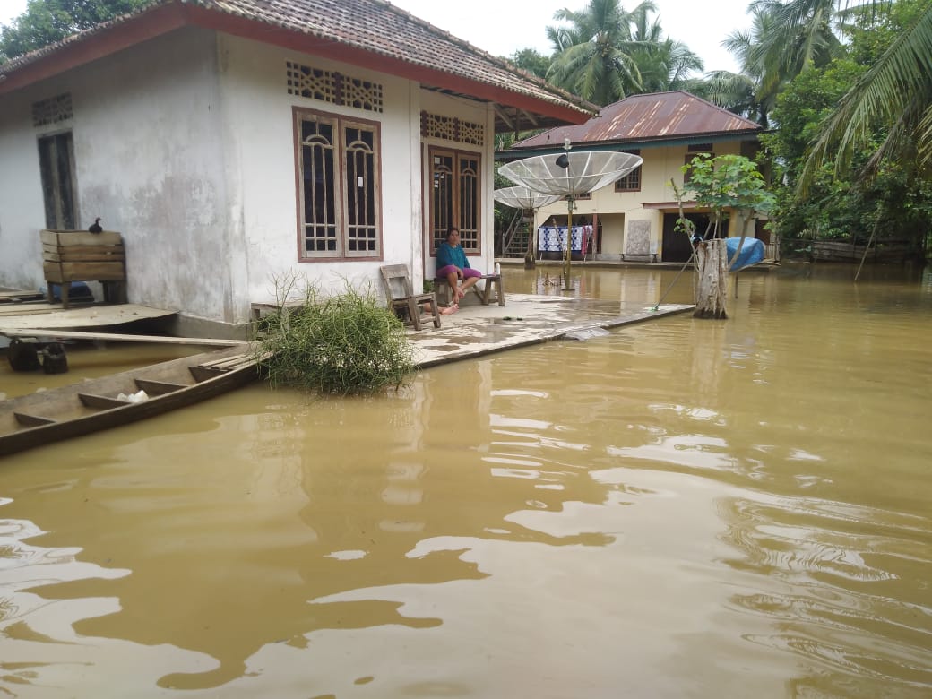 BANJIR: Sebanyak 1209 rumah di Kabupaten Batanghari terendam banjir.