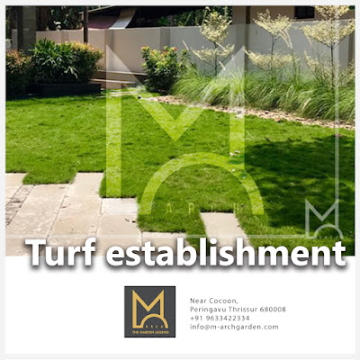 Turf establishment | M-arch garden