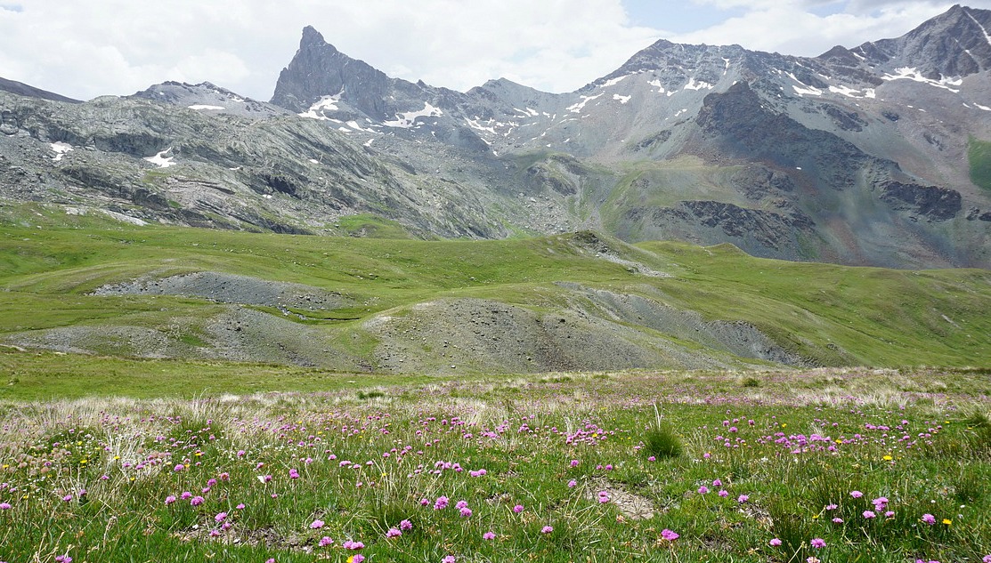 Crossing alpine meadows to Refuge de la Blanche (2499 m)