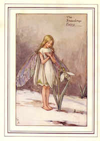 'The Snowdrop Fairy' by Cicely Mary Barker