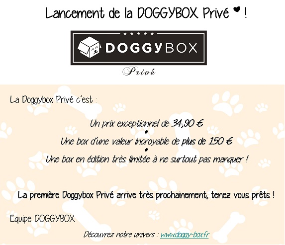 Lancement de la Doggy Box Privé