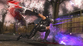 #6 Ninja Gaiden Sigma Wallpaper