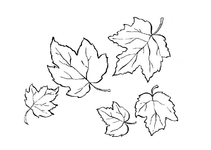 Coloring Pages Of Leaves