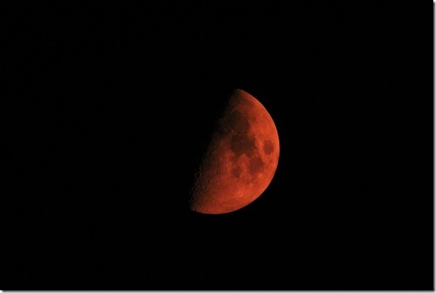 fire moon2 (2)