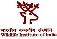 Wildlife Institute of India (ICFRE)