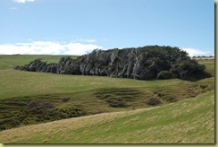 Trees near Slope Point