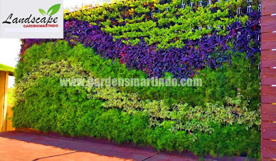 TAMAN VERTIKAL / VERTICAL GARDEN KUDUS :