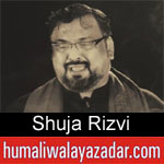 https://www.humaliwalayazadar.com/2019/09/shuja-rizvi-nohay-2020.html
