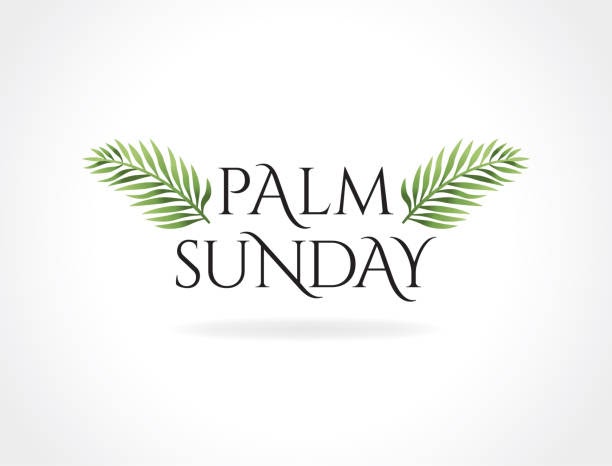 Lagos Catholics Mark Palm Sunday Amid Fanfare