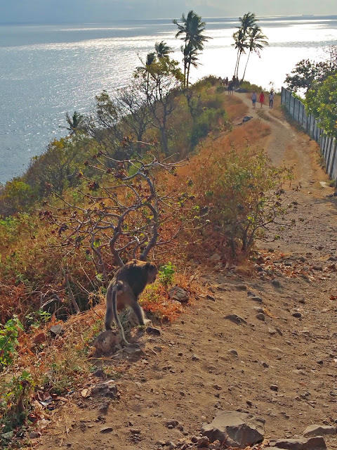 [Lombok] - Malimbu Hill | www.meheartseoul.blogspot.sg