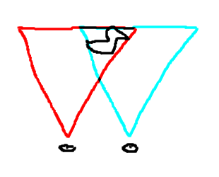 Eyes looking at an object in parallel