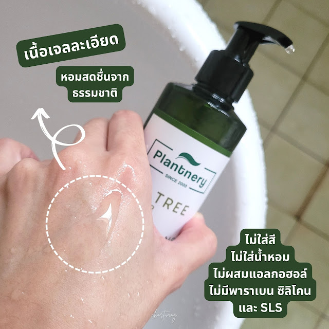 Review Plantnery Tea Tree Facial Purify Cleanser chortuang jeban choicechecker cosmenet blog รีวิวเจลล้างหน้า ลดสิว คุมมัน รูขุมขนกว้าง ผลัดผิว ต้านอนุมูลอิสระ