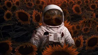 Papel de Parede Astronauta no Campo de Flores