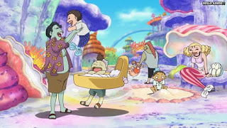 ワンピースアニメ 魚人島編 529話 | ONE PIECE Episode 529