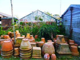 The Lost Gardens of Heligan, Cornwall - plant pots