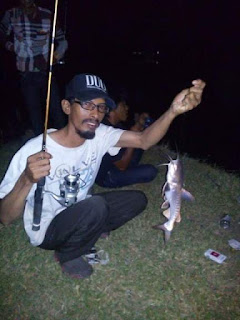 Umpan dan cara mancing IKAN BAUNG