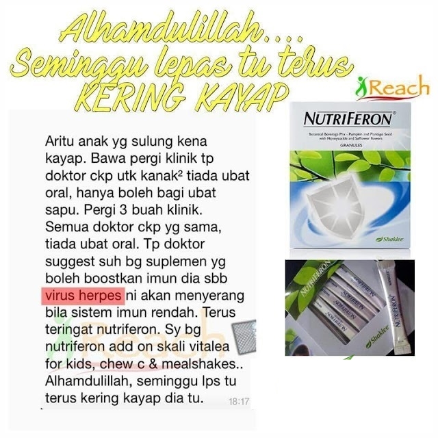 Testimoni Shaklee Untuk Kayap