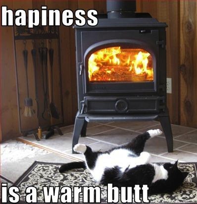 Kitty - Happiness Is A Warm Butt