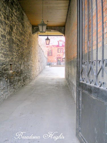 DSCN5202