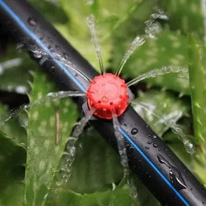 button dripper for orchard farming