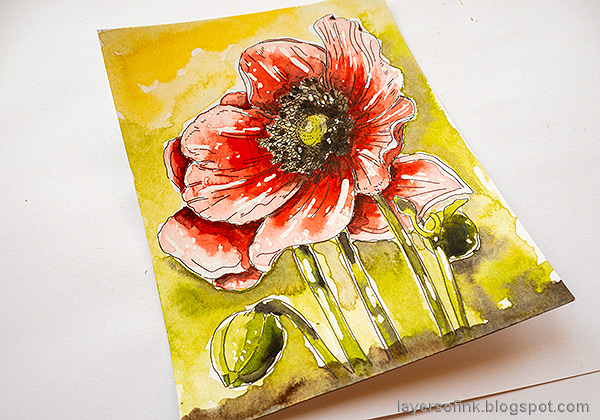 Layers of ink - Poppy Watercolor Tutorial by Anna-Karin Evaldsson. Remove the masking fluid.