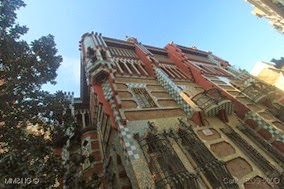 IMG_9848
