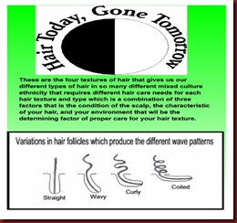 The 4 different wave pattern variation in the hair follicle_001 (463x599)