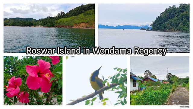 Tropical island of Roswar