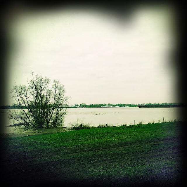 Hoogwater, Pannerdens Kanaal, februari 2020