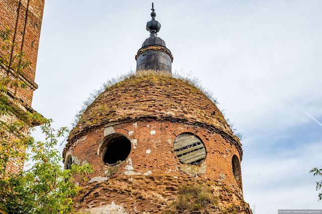 Купол кирпичной церкви порос травой