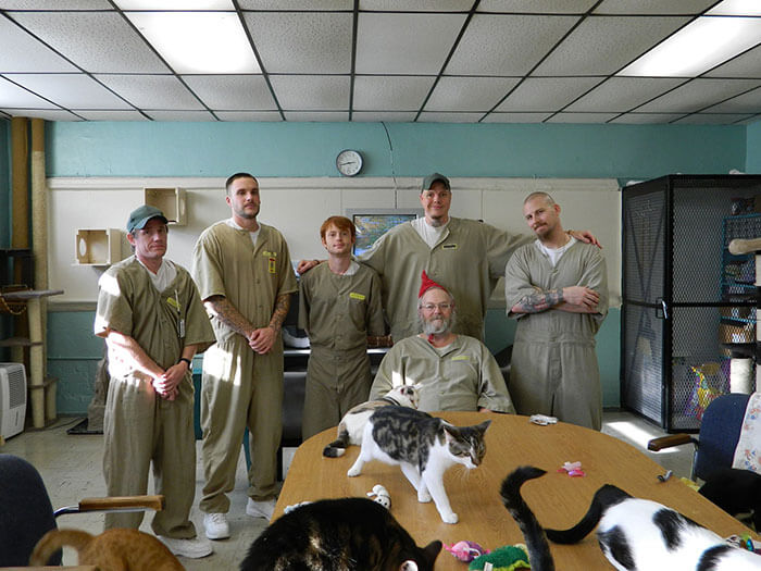 Prison In Indiana Allows Inmates To Take Care Of Shelter Cats