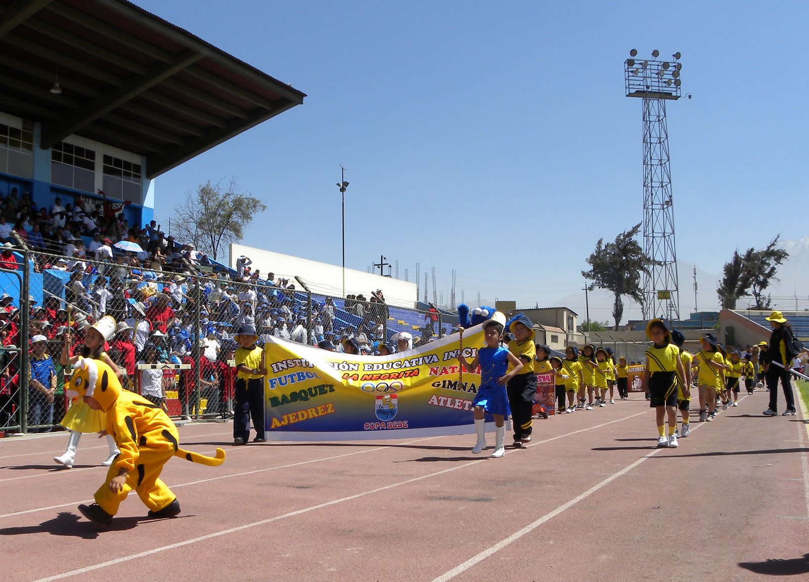 DEPORTES DE AREQUIPA: INAUGURACION DE LOS VI JUEGOS ...