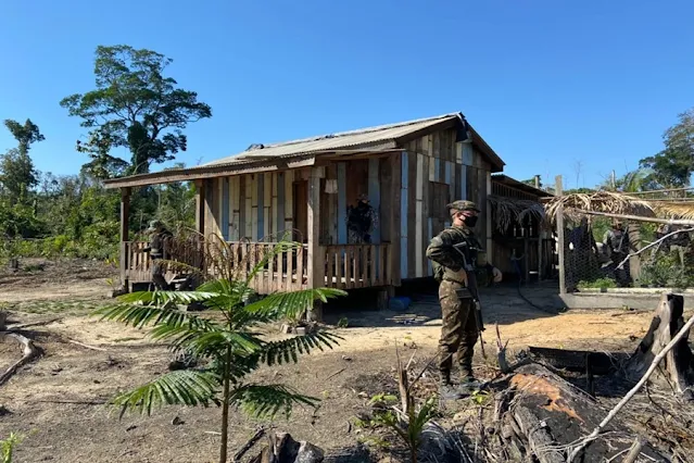 Operação contra desmatamento realizada em florestas nacionais de Rondônia