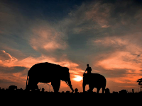 Taman Nasional Way Kambas Lampung, Habitatnya Para Gajah