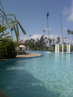 Gran Melia Puerto Rico pool