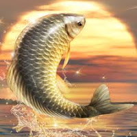  Big Fish King Mod Apk-1